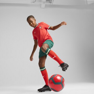 PUMA regular Παντελόνι φόρμας 'Portugal 2025' σε πράσινο