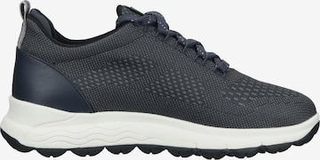 GEOX Sneakers laag in Grijs