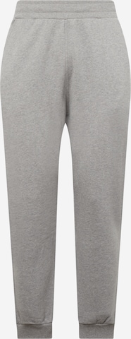 Tapered Pantaloni di Ocay in grigio: frontale