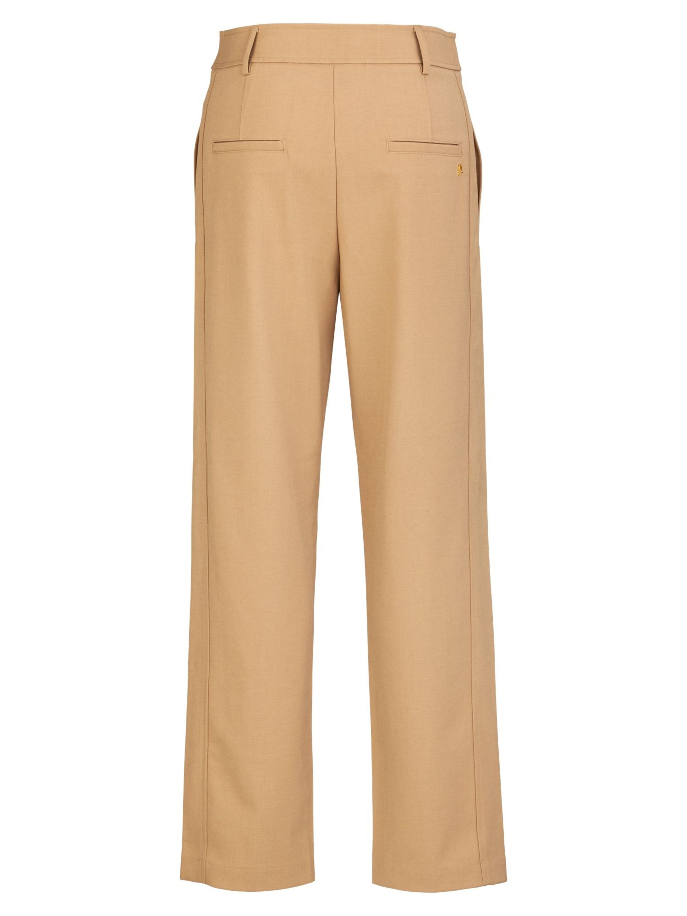 REPLAY Regular Pleated Pants 'Twill Pant' in Beige