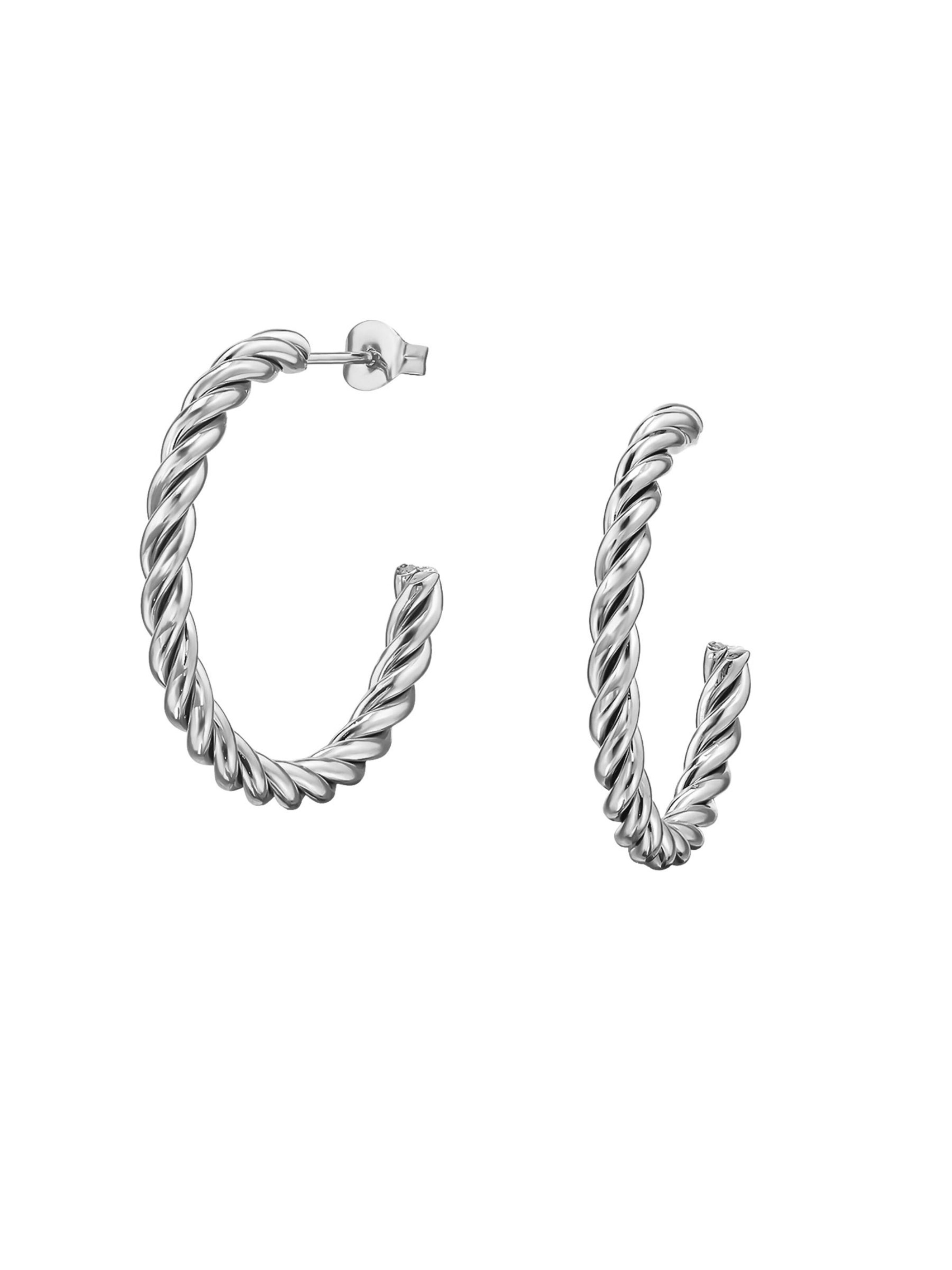 Maxte Earrings in Silver