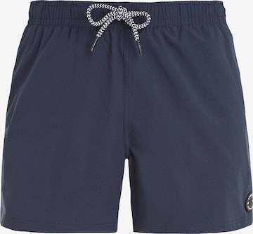 PROTEST Swimming shorts 'PRTYESSINE' in Blue: front