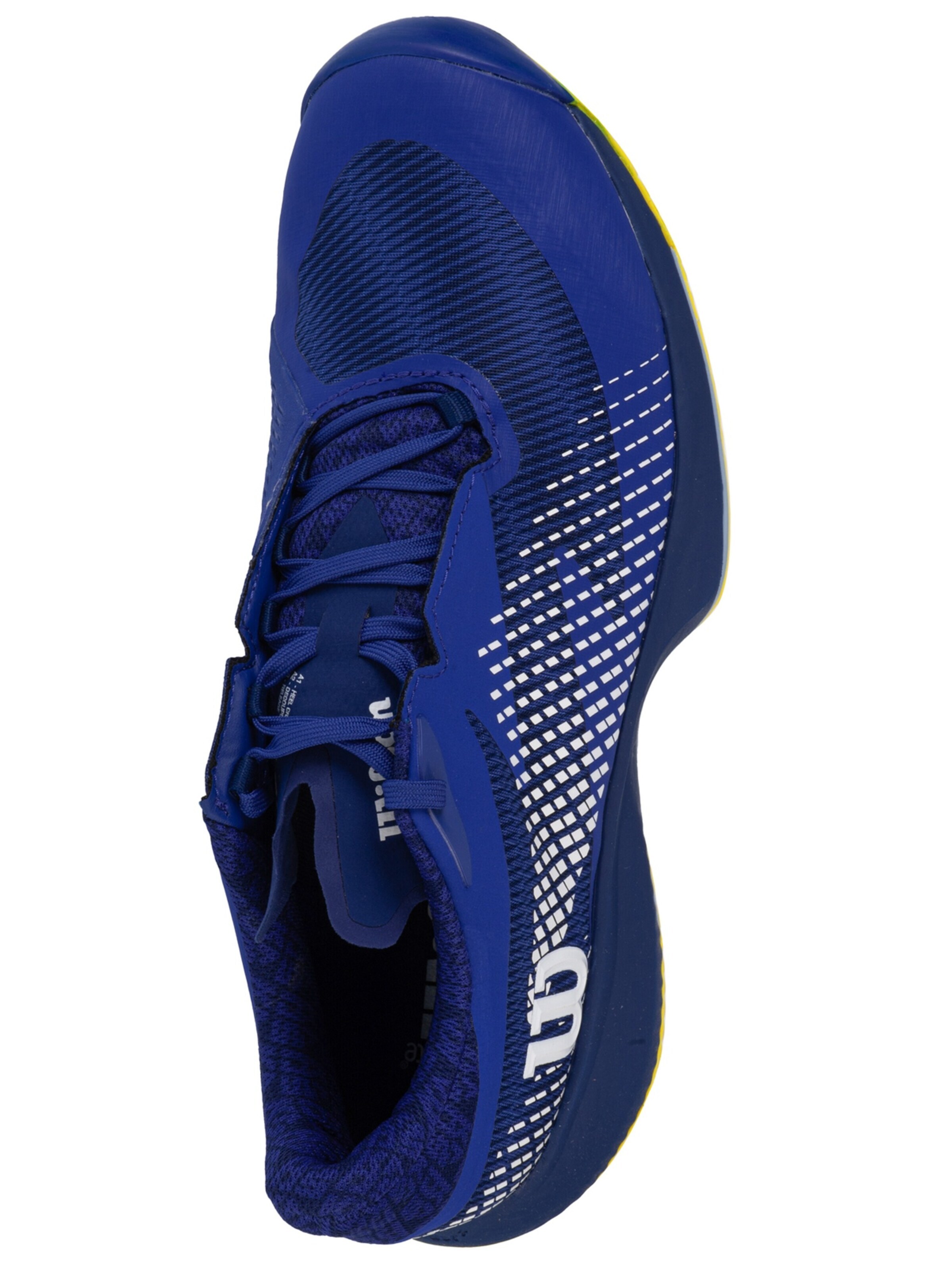 WILSON Sportschoen 'Wilson Kaos Swift 1.5 Clay' in Blauw