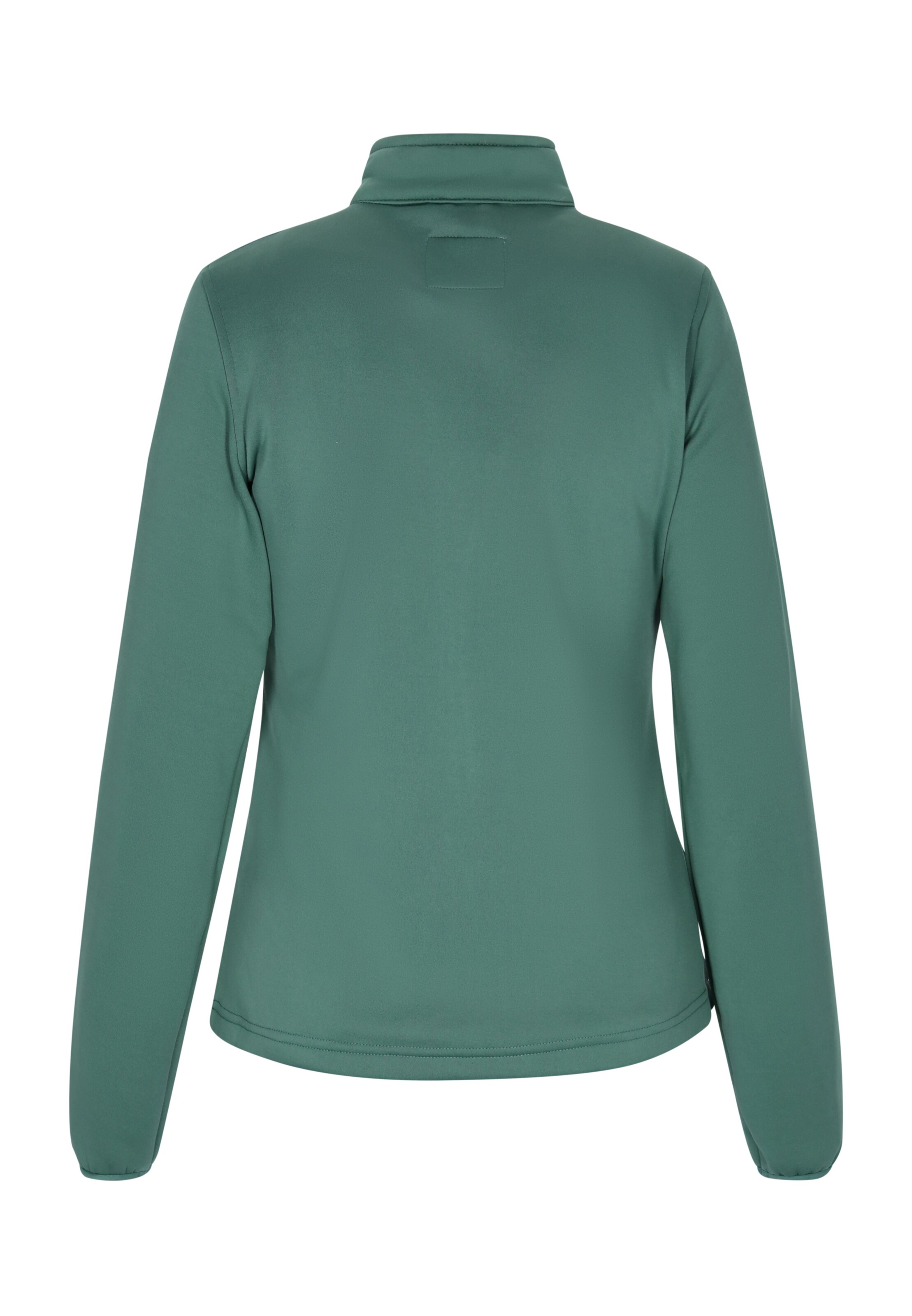 hoona Sweatvest in Groen