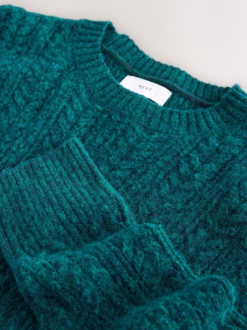 zils Next Džemperis