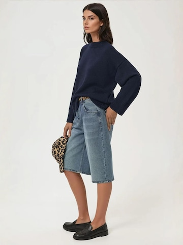 Hiccup - Pullover em azul