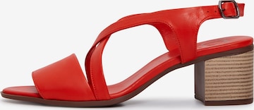 CESARE GASPARI Sandals in Red: front