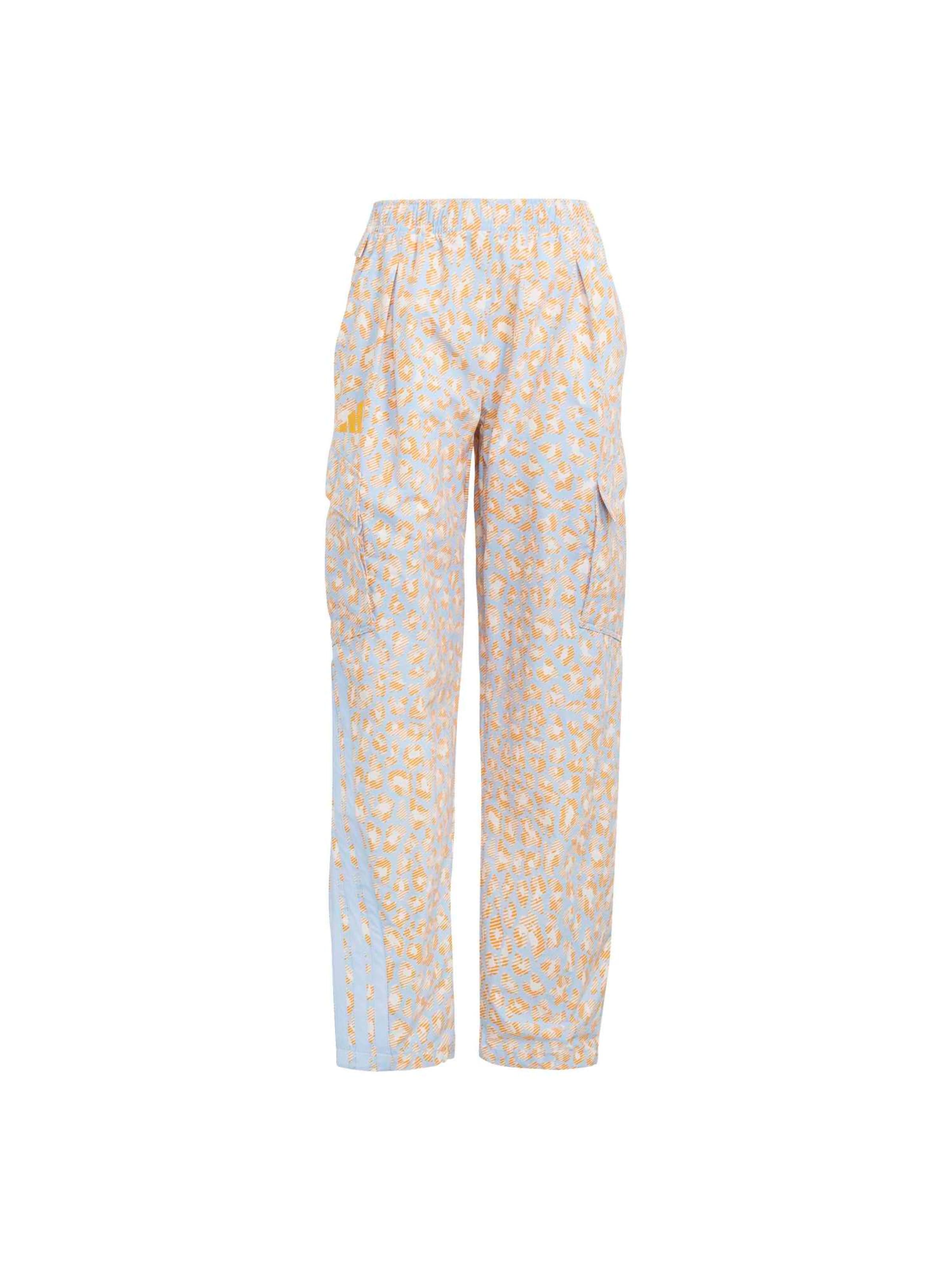 ADIDAS TERREX Loosefit Παντελόνι πεζοπορίας σε μπλε: μπροστά