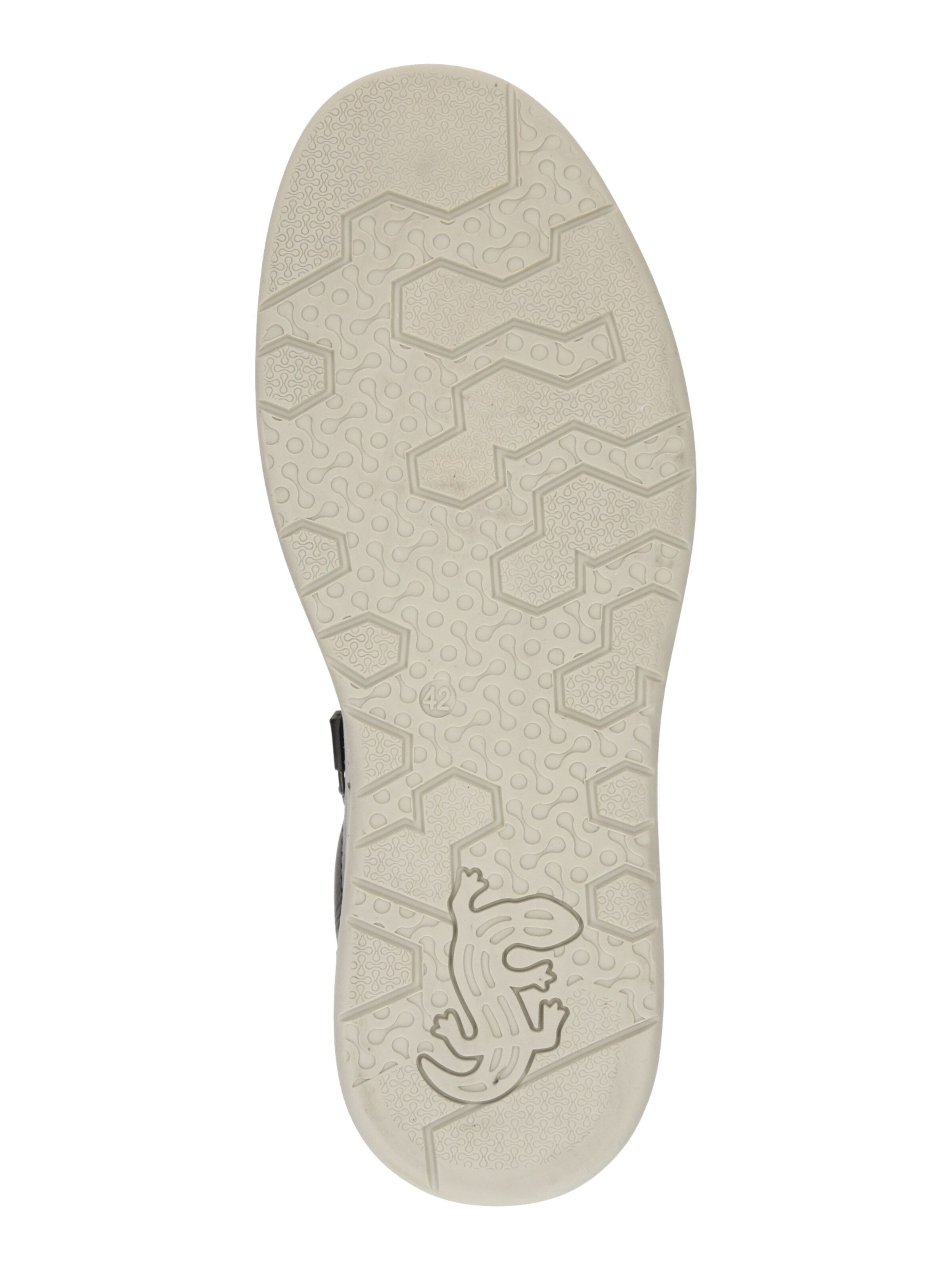 SALAMANDER - Zapatillas deportivas bajas en negro