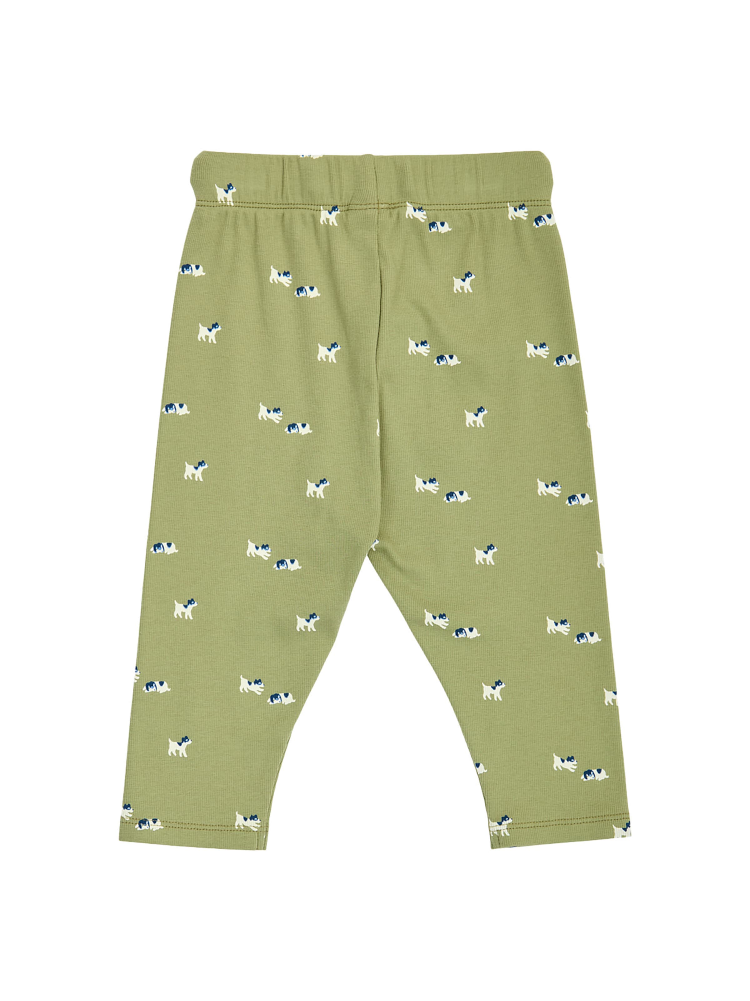 Regular Pantalon Müsli by GREEN COTTON en vert