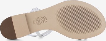 Kennel & Schmenger Strap Sandals ' ELLE ' in White