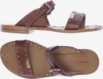 Les Tropéziennes par M Belarbi Sandals & Slippers in 38 in Brown: front