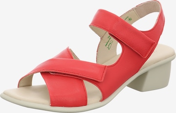 THINK! Pumps 'Vivi' in Red: front