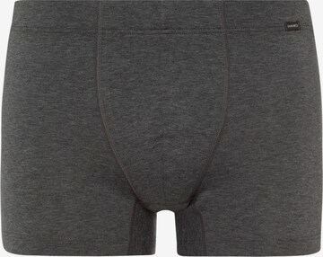 Hanro Boxer shorts ' Cotton Essentials ' in Grey