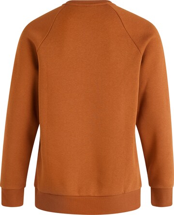 PEAK PERFORMANCE Sweatshirt 'Crew' in Bronze