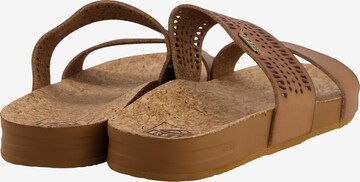 REEF Beach & Pool Shoes 'Cushion Vista Perf' in Brown