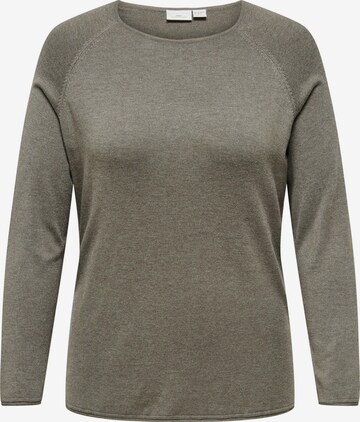 ONLY Carmakoma Pullover 'CARLADY' i brun: forside