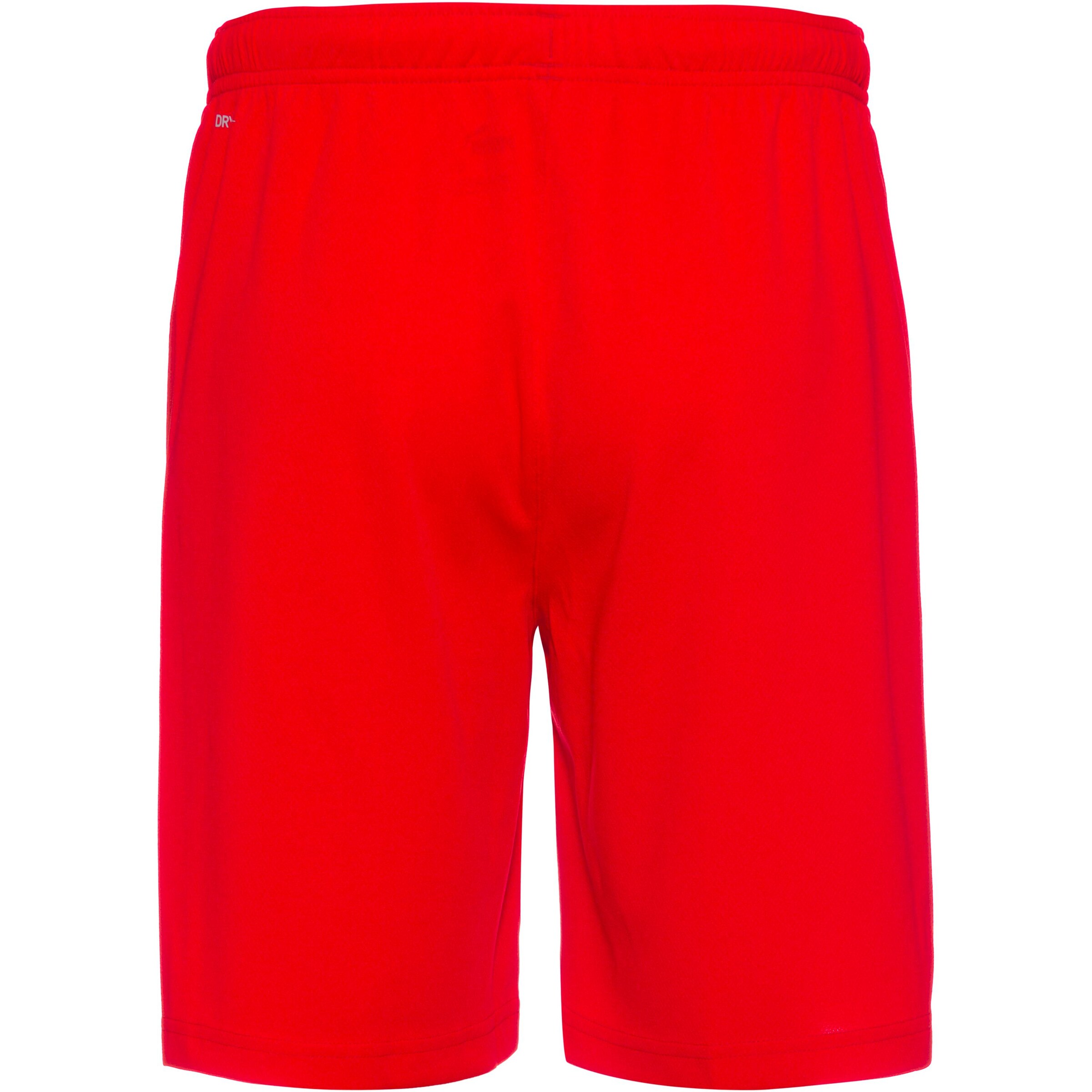 PUMA Regular Sportbroek 'TeamRise' in Rood