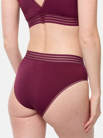 DIM Slip in Rood