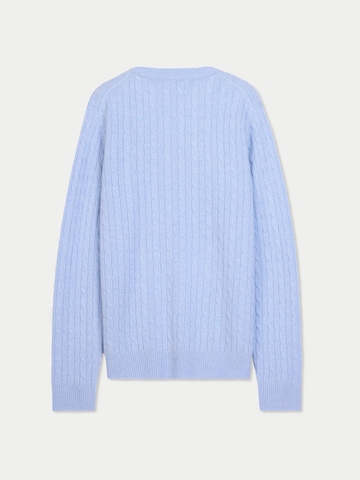 GOBI Cashmere Trui in Blauw