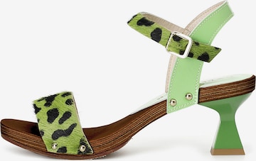 CAFè NOIR Pumps in Green: front