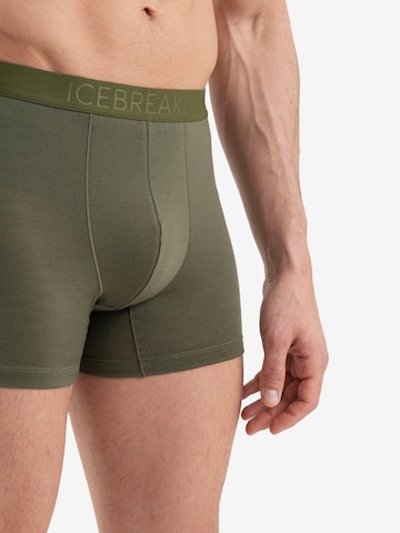 ICEBREAKER - Boxers 'Anatomica' em verde