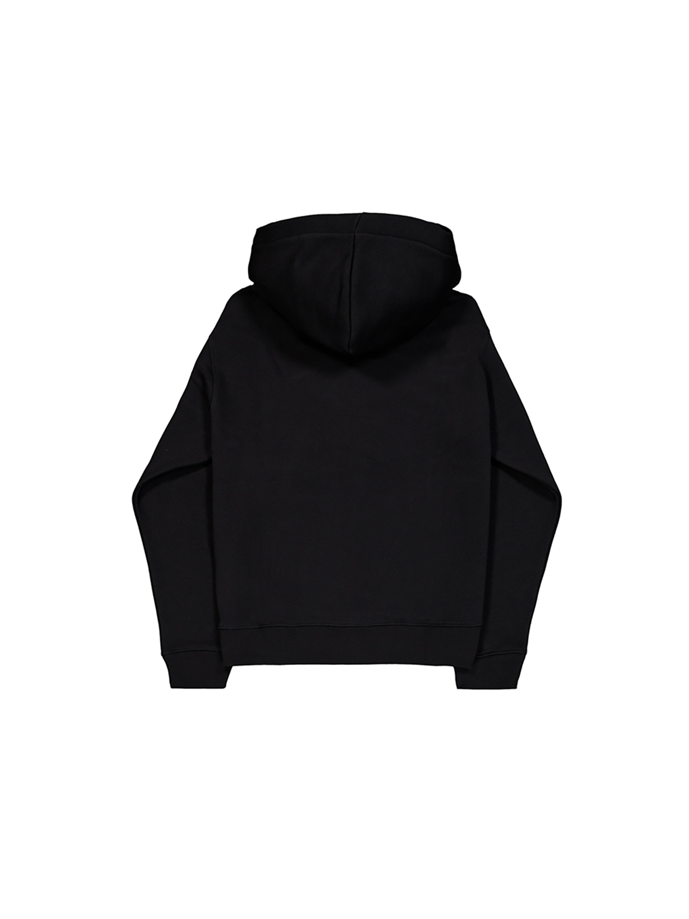 ALPHA INDUSTRIES Sweatshirt 'Basic TPU' in Black
