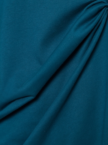 THE NORTH FACE Shirt in Blauw