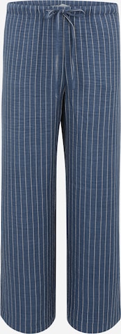 zils JDY Petite Platas staras Bikses 'JDYPOWER': no priekšpuses