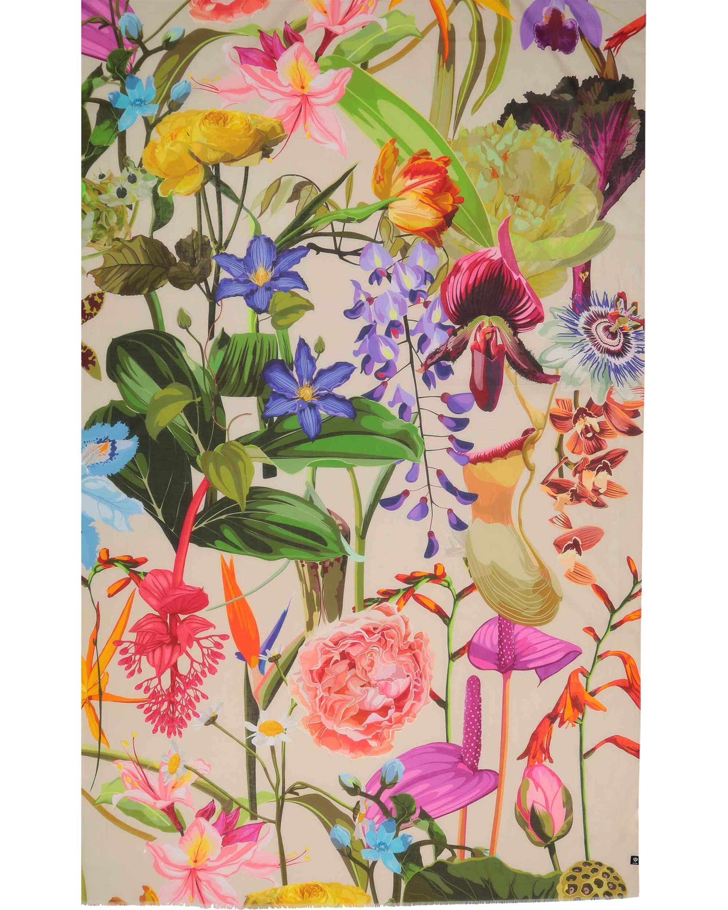 FRAAS Schal in Beige