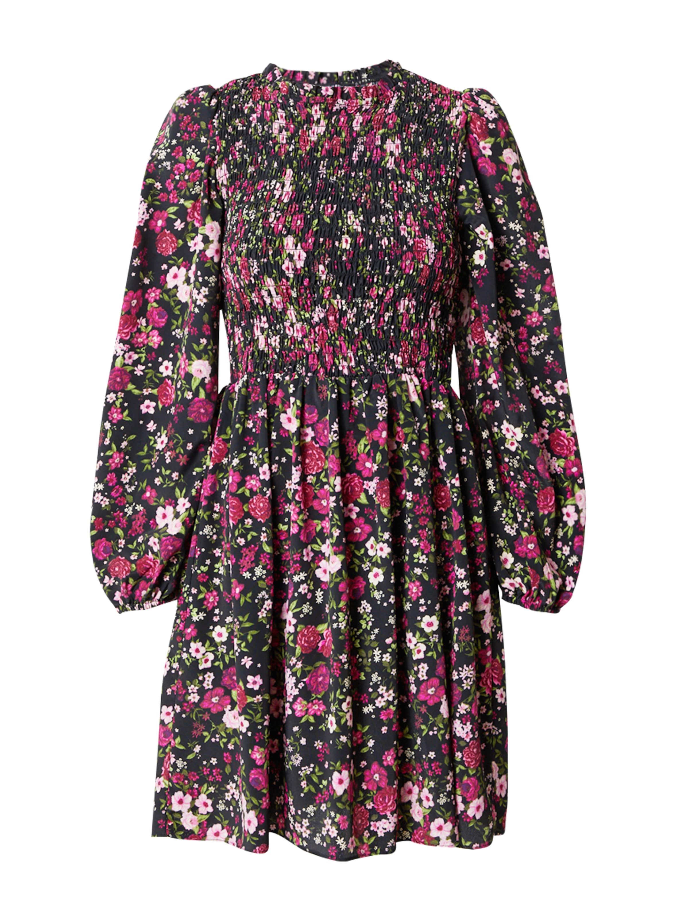 Dorothy Perkins Obleka | mešane barve barva: sprednja stran