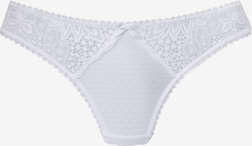 VIVANCE Thong in White: front