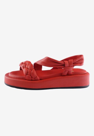 D.MoRo Shoes Sandals in Red