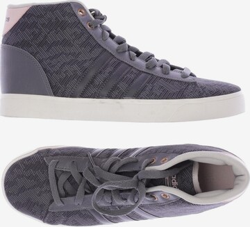 ADIDAS NEO Sneakers & Trainers in 40,5 in Grey: front