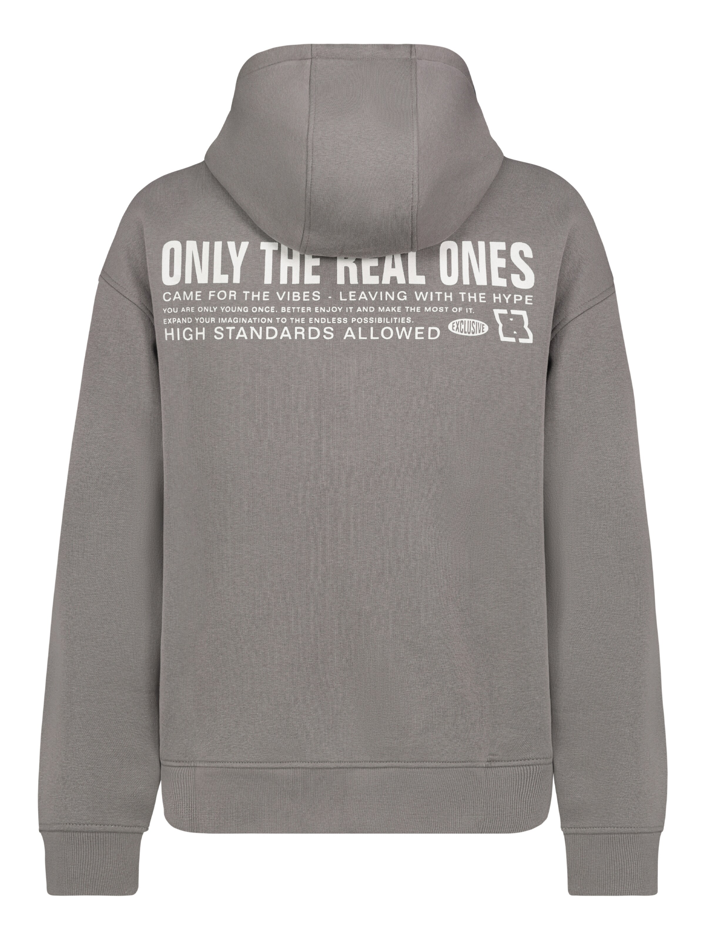 Sublevel Zip-Up Hoodie in Grey