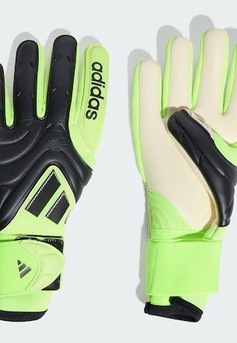 Gants de sport 'Copa Pro' ADIDAS PERFORMANCE en noir