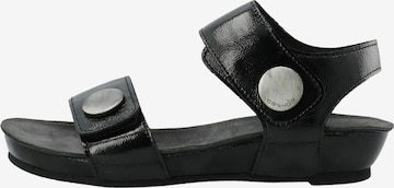 Ca'Shott Sandaalit 'Ava' värissä musta: etupuoli