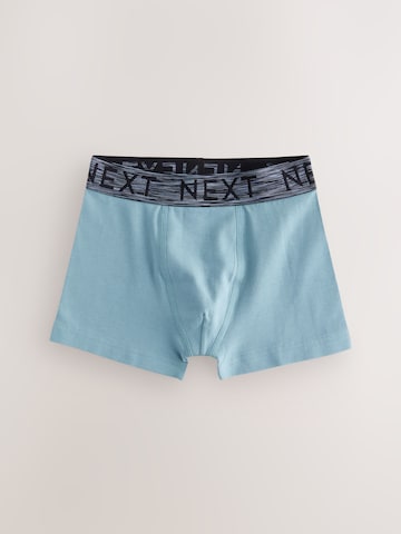 Pantaloncini intimi di Next in colori misti