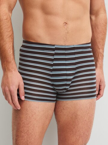Boxers 'Focus Trend' CALIDA en marron