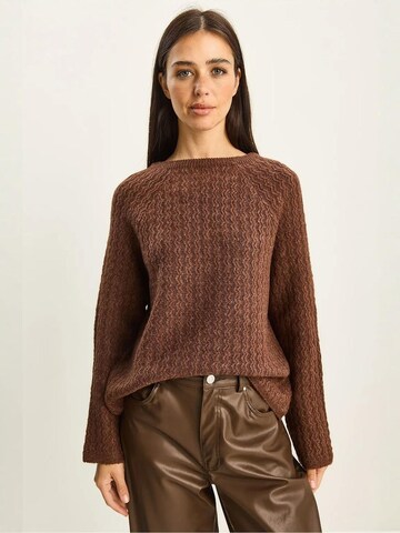 Bianco Lucci - Pullover em castanho: frente