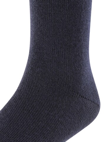 FALKE Socks 'Comfort Wool' in Blue