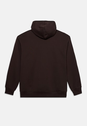 ADIDAS ORIGINALS Μπλούζα φούτερ σε καφέ: πίσω