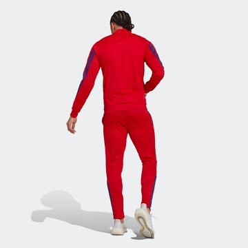 Completo sportivo ' Zipped' di ADIDAS SPORTSWEAR in rosso