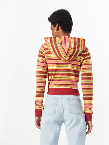 BDG Urban Outfitters Zip-Up Hoodie in Mixed colors