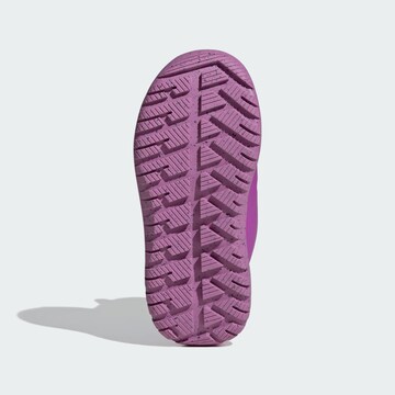 ADIDAS SPORTSWEAR Snowboots in Lila