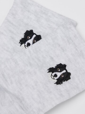 CALZEDONIA Socks 'Dog' in Grey