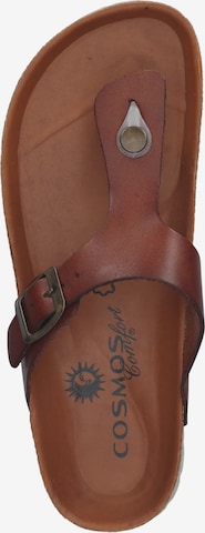 COSMOS COMFORT T-Bar Sandals in Brown