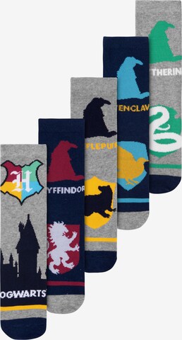 Harry Potter Socks '4 Häuser' in Mixed colours: front
