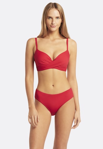 SEA LEVEL Push-up Bikinitop 'Essentials' in Rot: Vorderseite