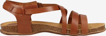 Kickers Sandalen in Braun